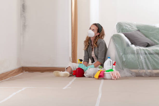 Reliable Mold Remediation contractor in New Braunfels, TX by WQB Mold Removal